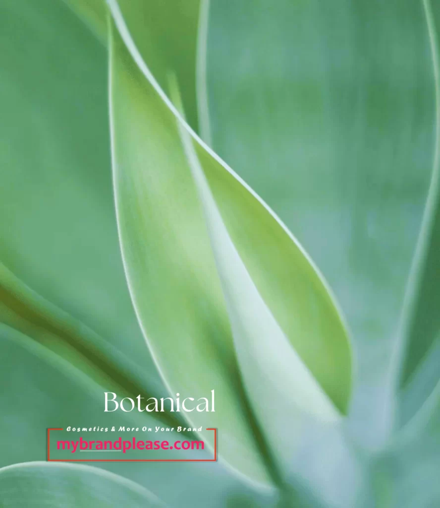 Botanical Skin Care