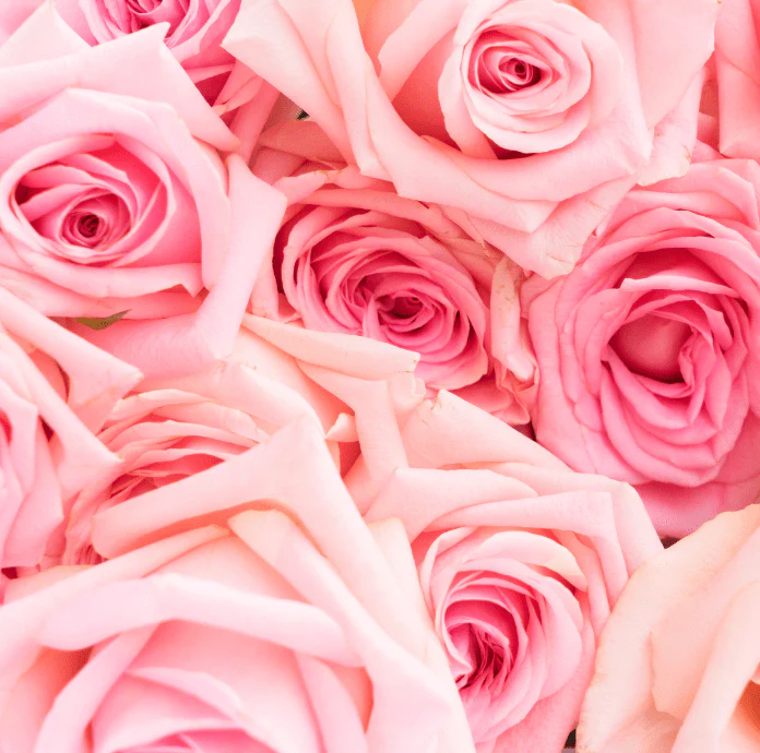 Advanced Rose Water Hydra-Mist