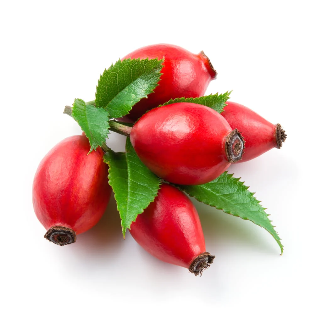 Advanced Rosehip Replenishing Cleanser