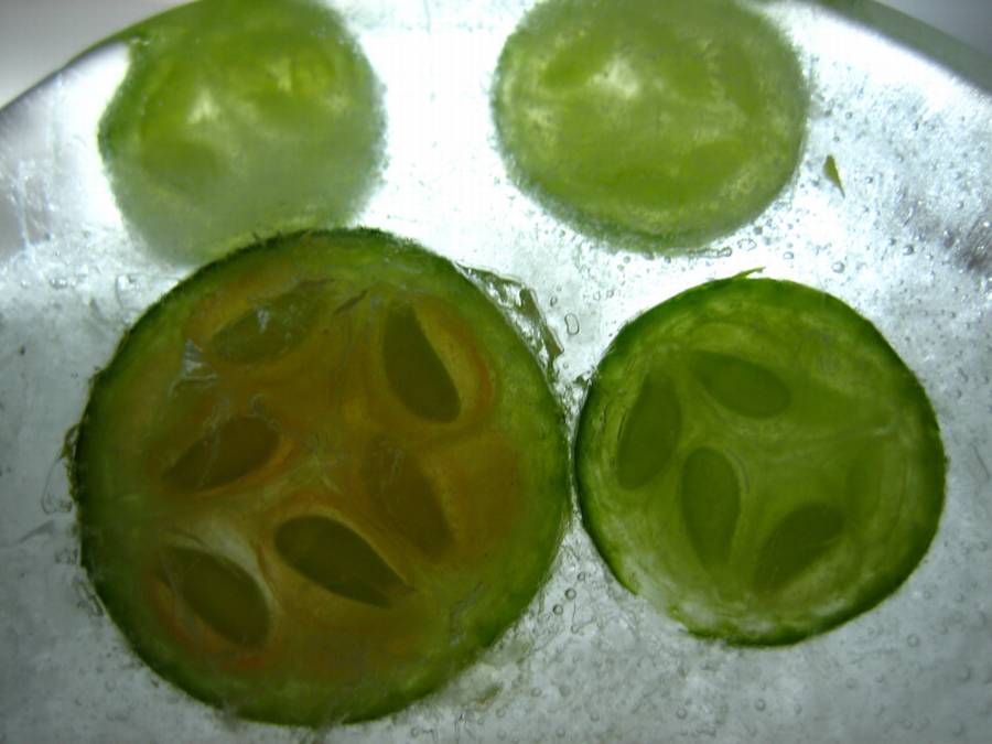 Green Tea & Cucumber