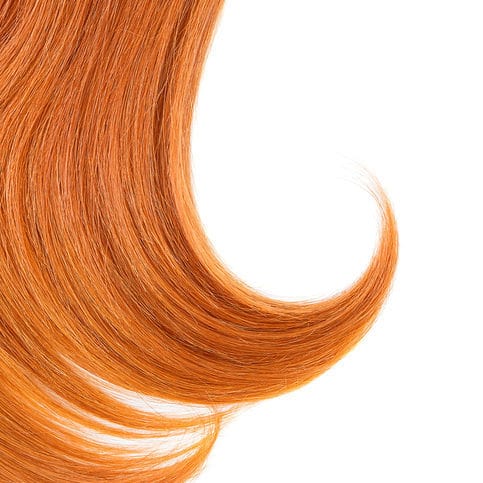 Herbal Plus Shampoo