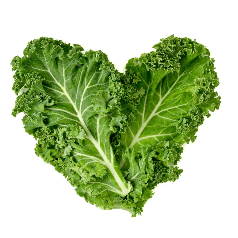 Kale Protein Facial Cleanser