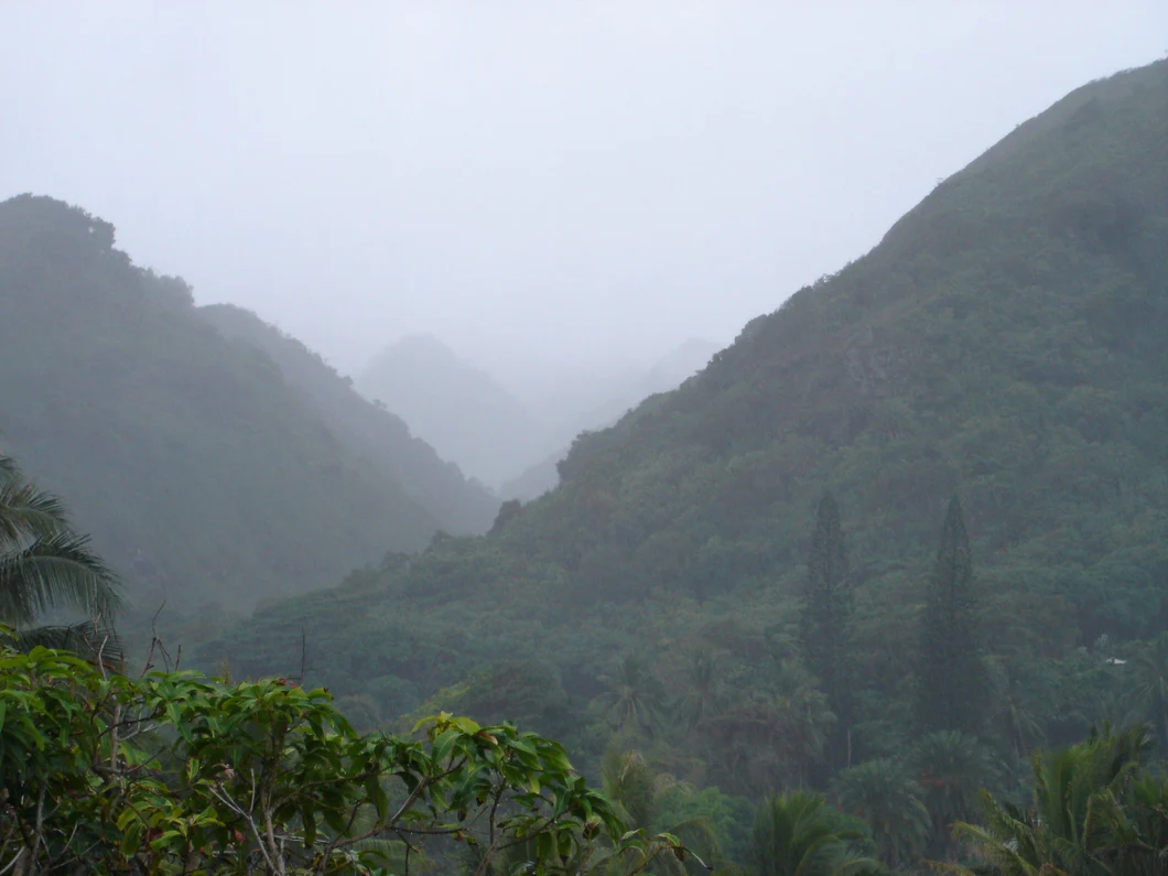Mountain Rain