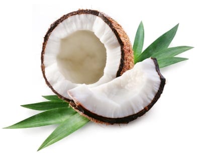 Organic Sunflower and Coconut Shower Gel