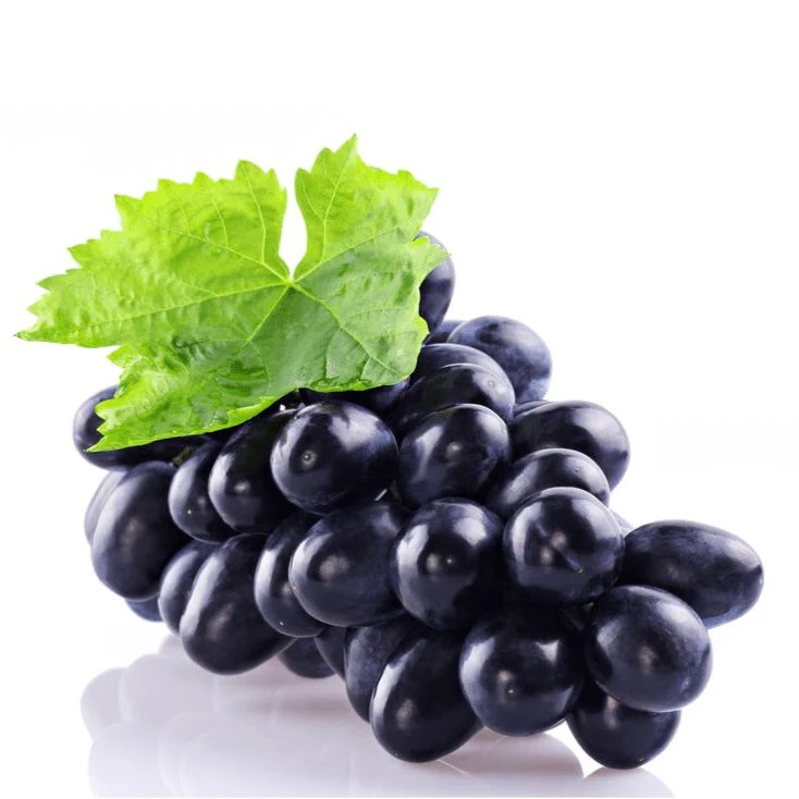 Super Fruits Antioxidant Facial Toner