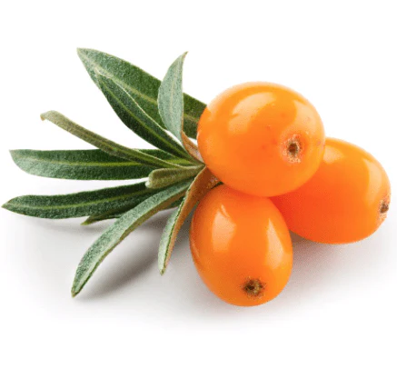 Super Fruits Antioxidant Moisturizer