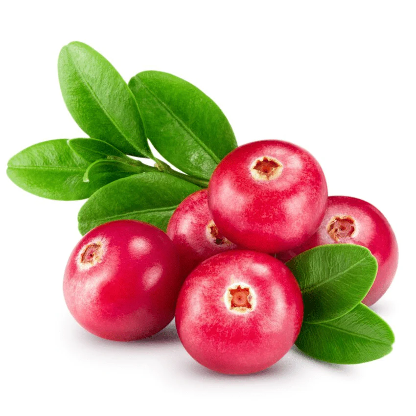 Super Fruits Antioxidant Serum